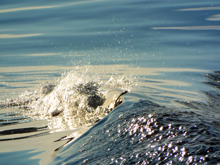 On the Water in Puget Sound Washington State USAの写真素材
