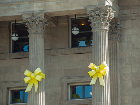 Capitol Building Columns in Boise Idaho USAのeditorial素材