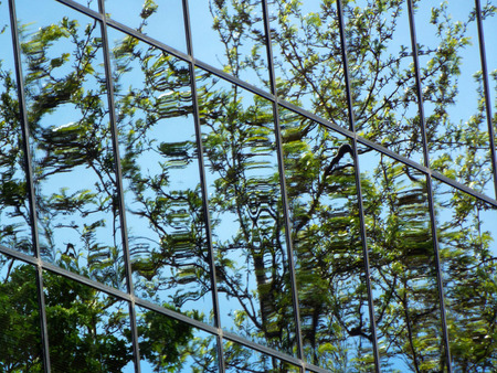 Trees reflected in windows of modern office building