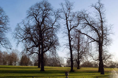 Royal parkの写真素材