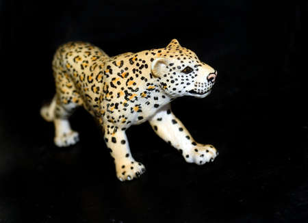Leopardの写真素材