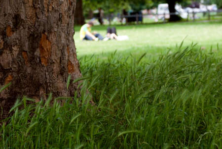 Summer Timeの写真素材