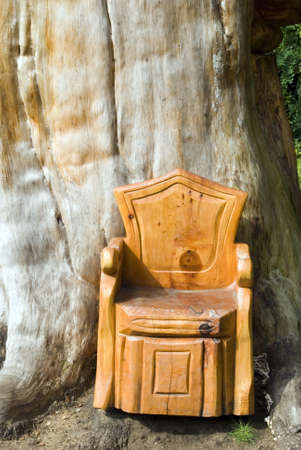 In the Forestの写真素材