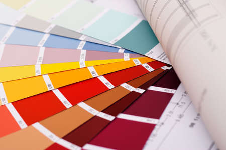 choose color from swatchの写真素材