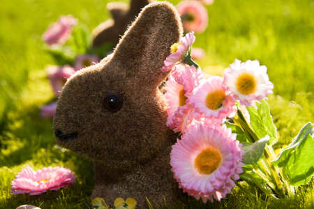 Easter bunny
