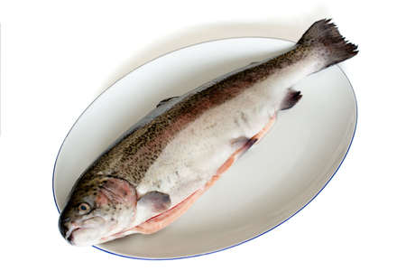 plate with rainbow trout (salmon trout)  over white backgroundの写真素材