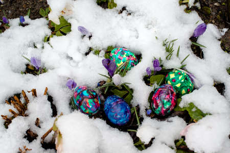 Colorful Easter eggs in snowy gardenの写真素材