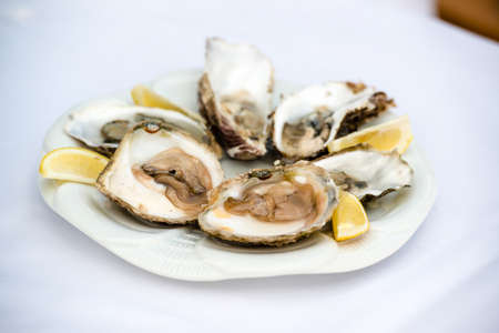Half a dozen oysters and lemon on a white plate on white tableclothの写真素材