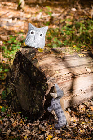 Soft toy dog is chasing an owl in autumn forestの写真素材