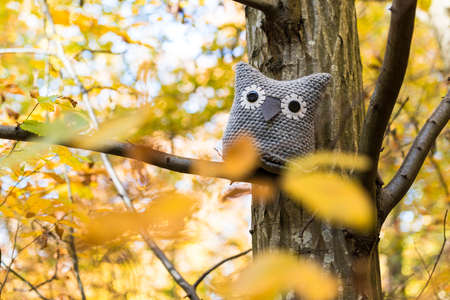 Soft toy owl is placed in autumn forestの写真素材