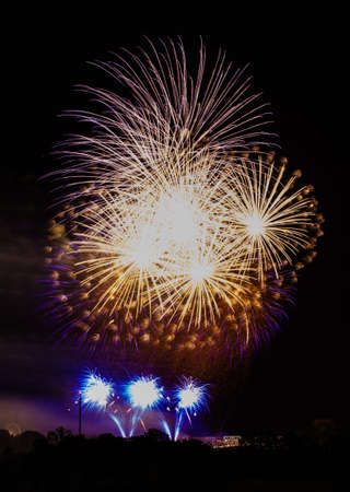 Beautiful large fireworks display against night sky