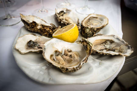 Hald dozen fresh oysters on a white plate with a lemonの写真素材