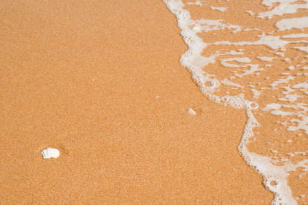 Beach with sea shells, sand and spray water as backgroundの写真素材