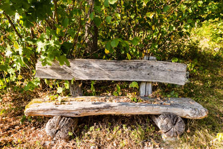 old wooden bench in forest calling for a rest on a beautiful autumn day