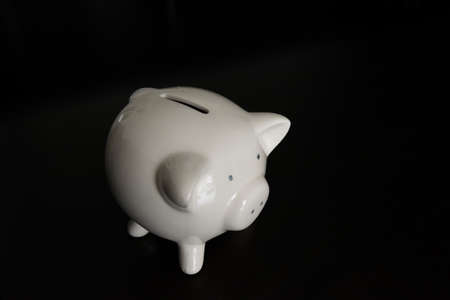 Piggy bank with room for your textの写真素材