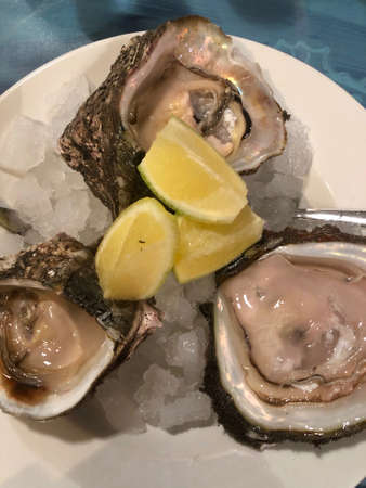 Opened oysters on a plate