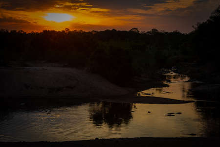 Beautiful sunset with hippos in the riverの写真素材
