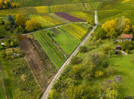 Garden plots with vegetables fields and vineyards in autumn near Stuttgart, Germanyの写真素材