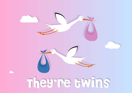It's a twin: greeting card with two storks carrying twin babies.のイラスト素材