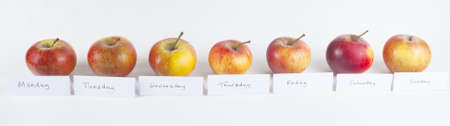 A horizontal row of seven organic red apples, labelled with the days of the week, to illustrate the motto 'An apple a day keeps the doctor away'.  White background.の写真素材