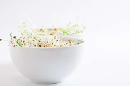 Two white china bowls containing raw beansprouts.  Alfalfa in the foreground and green lentil in the background.  Copy space to right.の写真素材