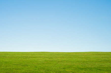 Green grass and blue sky landscape background, providing copy space in the sky.  Horizontal...
