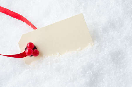 A blank Christmas gift tag, attached to a red ribbon and decorated with plastic red holly berries,...
