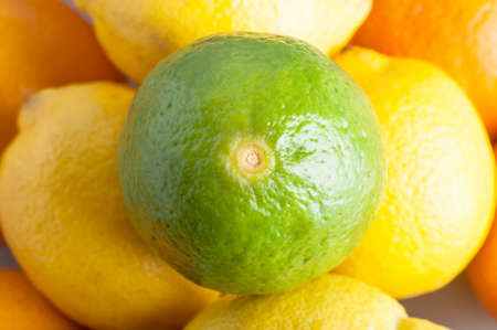 Close up (macro) overhead shot of a lime, sitting on top of a round of lemons, beneath which are...