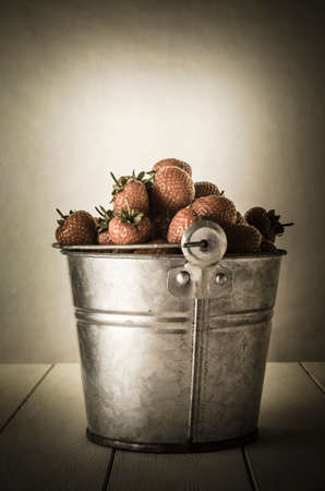 Vintage effect zinc metal bucket (pail) piled high with gathered strawberries on a white plank wooden kitchen table.  Undersaturated and faded.の写真素材