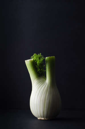 Vertical shot of a single fennel bulb, with leaves, on a black surface with black background.  Dark; moody lighting.の写真素材