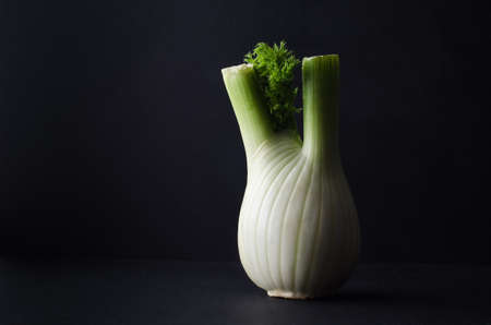 A single fennel bulb, with leaves, on a black surface with black background.  Dark; moody lighting.の写真素材
