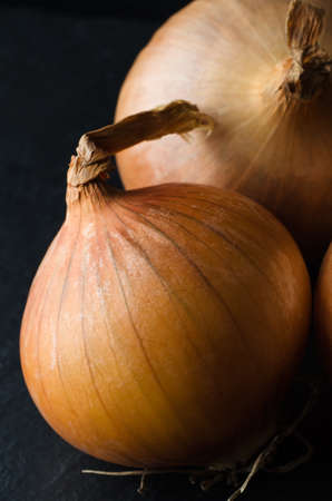 Whole, unpeeled onion with roots showing in foreground and second onion behind.  Black slate surface and background.  Moody, dark lighting.の写真素材
