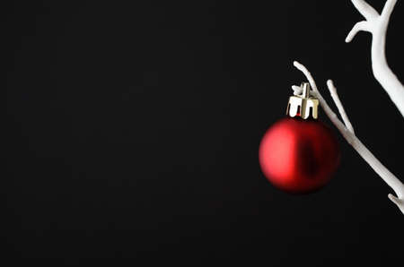 One single plain red Christmas bauble with gold clasp hanging from branch of an artificial bare white tree against black background.の写真素材