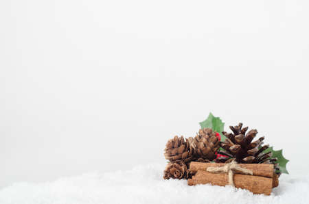 Still life grouping of pine cones; holly leaves, berries and cinnamon stick bundle on white artificial snow, bordering lower frame with copy space above and left.の写真素材
