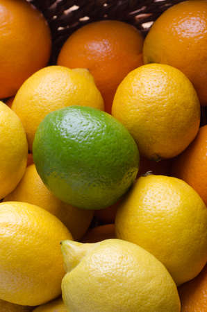 Angled overhead close up of citrus fruits selection, filling a wicker basket. Oranges and lemons topped with a single lime.の写真素材