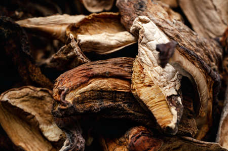 Close up (macro) of dried porcini mushrooms piled together.の写真素材