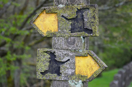 Moss-covered wooden signs along the Pendle Witches Trail in Lancashire with witches silhouettes conveying contradictory informationの写真素材
