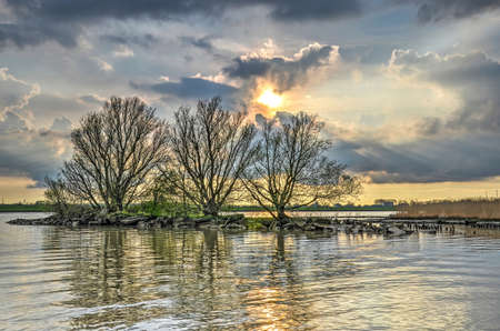 The setting sun and a dramatic sky create a perfect backdrop for a group of trees and bushes on a...