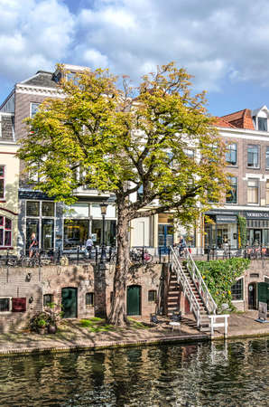 Utrecht, The Netherlands, September 1, 2018: old chestnut tree, already slightly in autumn colors, growing on the lower quay level of the Oude Gracht (Old Canal)のeditorial素材