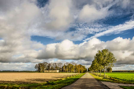 Long straight asphalt road line with trees, with a farm in the distance, under a spectacular sky in autumn in Noordoostpolder (North East Polder), the Netherlandsの写真素材