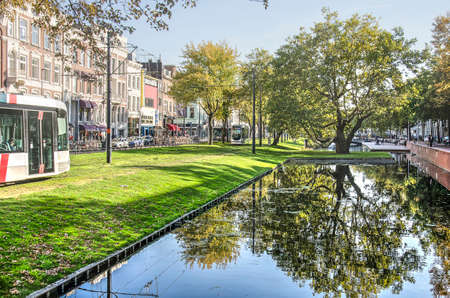 Rotterdam, The Netherlands, October 5, 2018: ancient plane tree reflecting in the calm water of Westersingel canal, with trams passing by on the grassy banksのeditorial素材