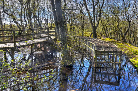 Amrum, Germany, May 2, 2015: wooden structures and walkways in a pond at the historical Meeram Vogelkoje bird-catching installationのeditorial素材