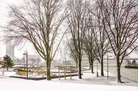 Rotterdam, The Netherlands, December 11, 2017: light snow falling on the little park at Leuvehoofd by the river Nieuwe Maas, with Erasmus bridge and the soutbank riverfront inthe backgroundのeditorial素材