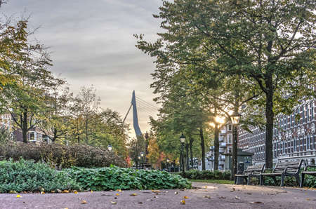 Rotterdam, The Netherlands, November 6, 2018: late afternoon in autumn on the central square at Noordereiland neighbourhood, with Erasmus bridge in the distanceのeditorial素材