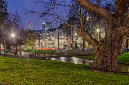 Rotterdam, The Netherlands, January 14, 2019: an ancient plane tree, a grassy slope and a pedestrian...