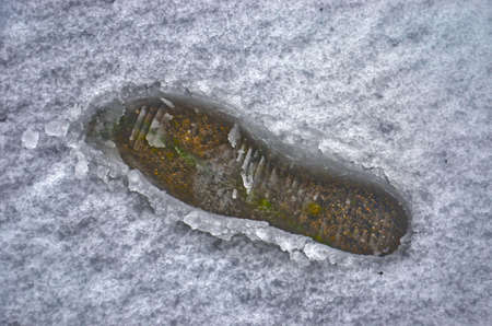 Footstep of a person in somewhat dirty, partially molten snow on a graval surface