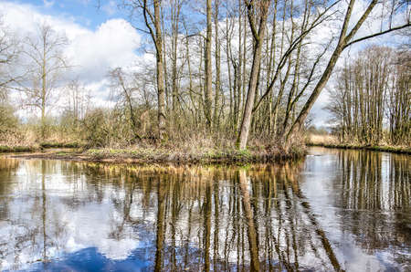 Trees and bushes growing in a bend in the river Dommel near Valkenswaard, The Netherlands reflecting...