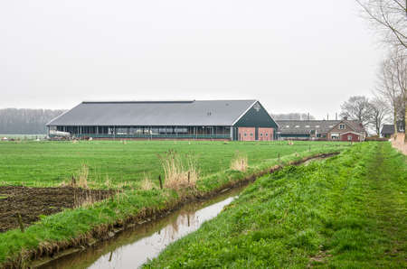 Nederhemert, The Netherlands, March 20, 2019: footpath through green polder landscape with farm houses and modern cattle barns on a cloudy dayのeditorial素材