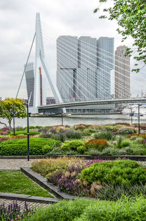 Rotterdam, The Netherlands, July 16, 2019: view across the colorful flowr beds at Leuvehoofd park towards the Wilhelminapier waterfront and Erasmus bridgeのeditorial素材