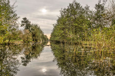 Low view of a canal in the area of the Reeuwijke Plassen (Reeuwijk Lakes) with reeds, bushes, shrubs, trees and other vegetation on a calm day in autumnのeditorial素材